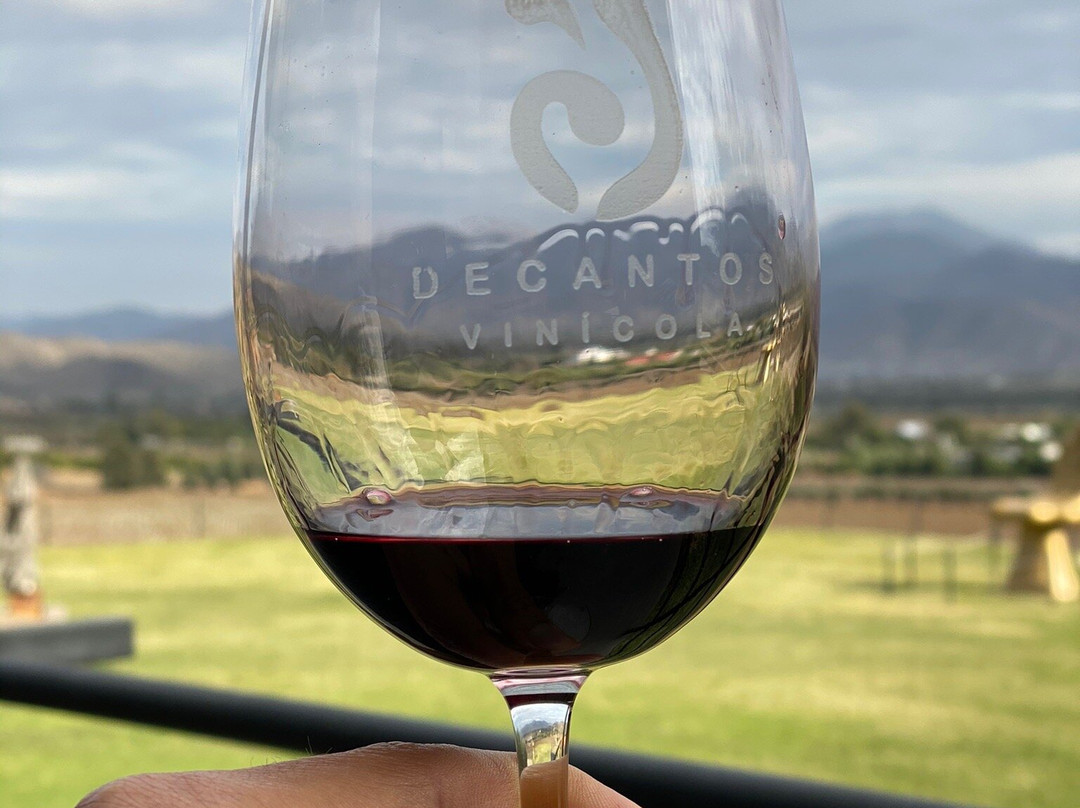 Decantos Vinicola景点图片