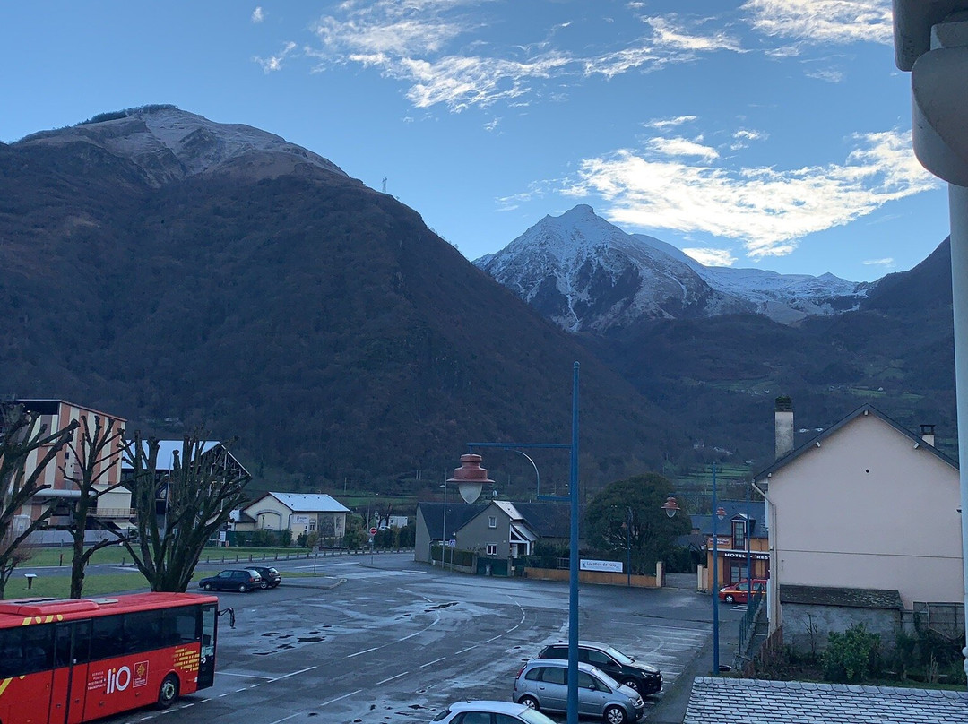 法国大酒店主图