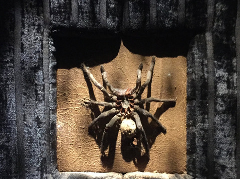 Rabbit Hole-曼谷必去景点