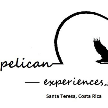 Surf Lessons, Santa Teresa North, Costa Rica-圣特雷莎必去景点