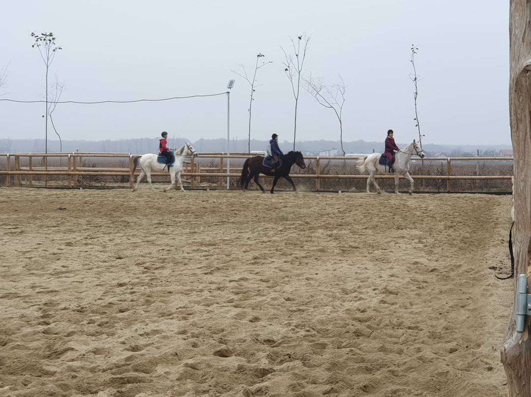 Hobby Land Ranch景点图片
