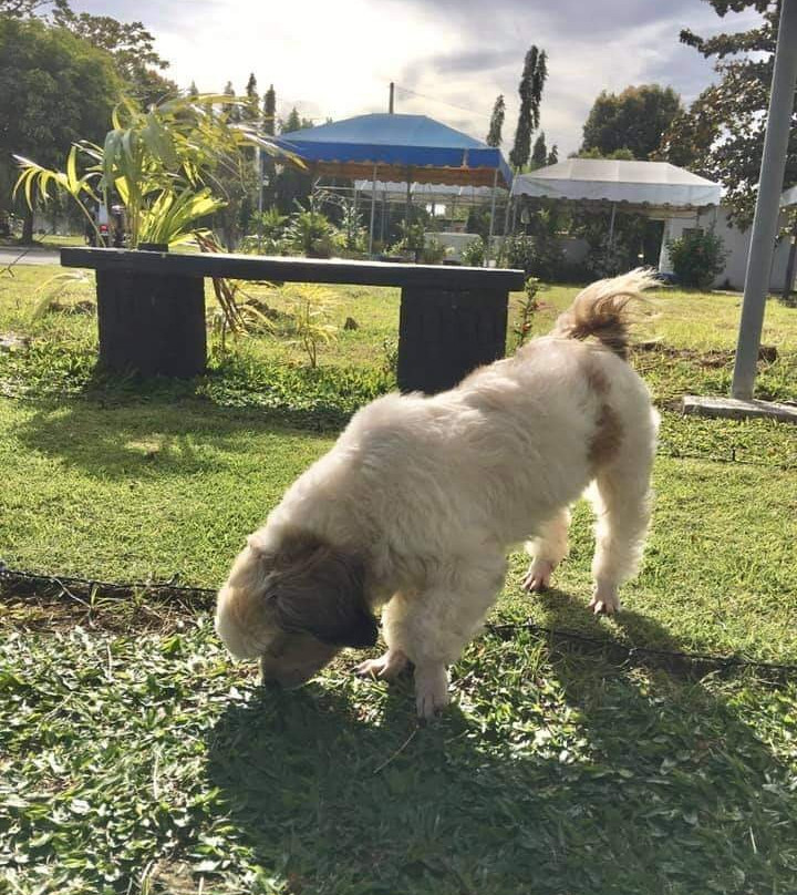 Sanctuario De Carmona Memorial Park-Carmona必去景点