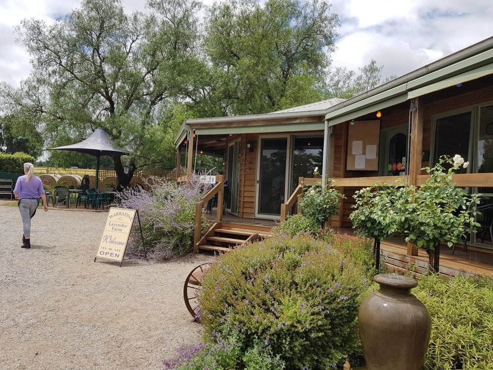 Warratina Lavender Farm-Wandin North必去景点