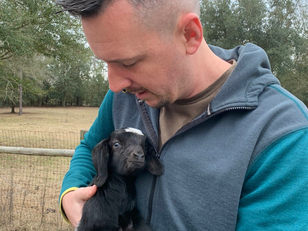 Gan Eden Farms-Live Oak必去景点