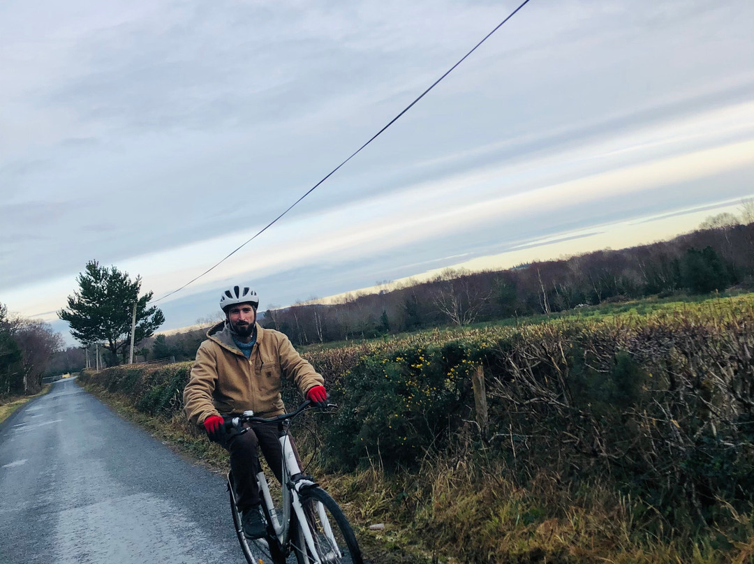PADDY&NELLY BIKE HIRE-Tours-韦斯特波特必去景点