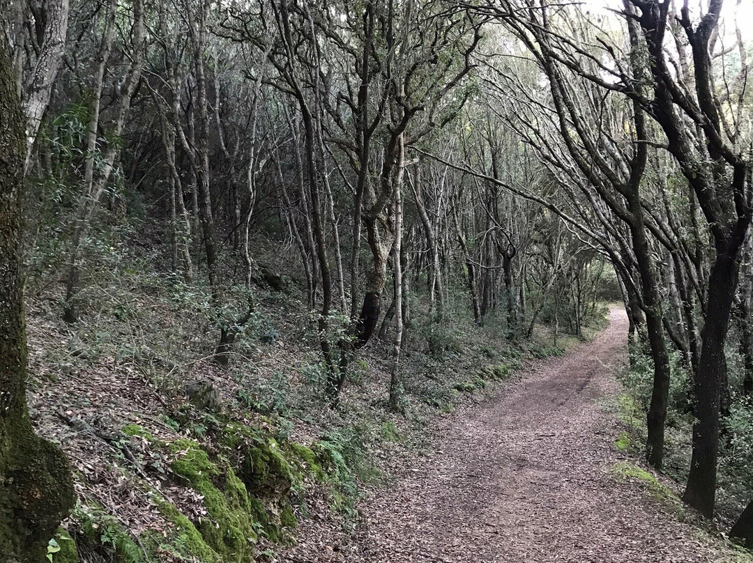 Parco Comunale Gentilis-Guspini必去景点