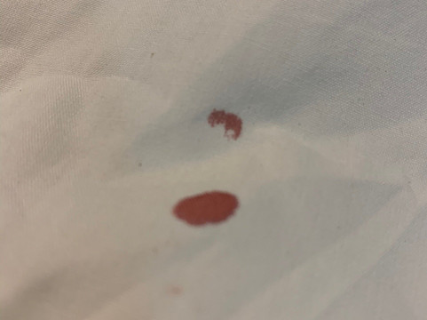 Pousada Alto Do Cruzeiro主图