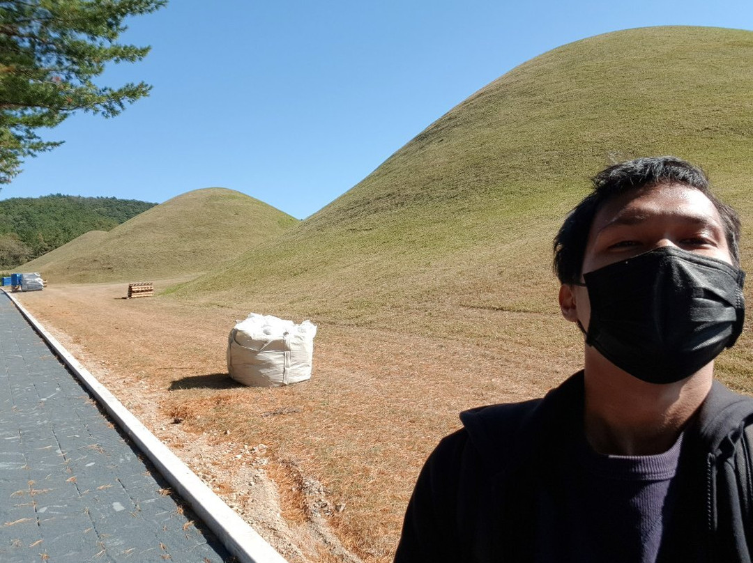 Royal Tomb of King Taejong Muyeol-庆州市必去景点
