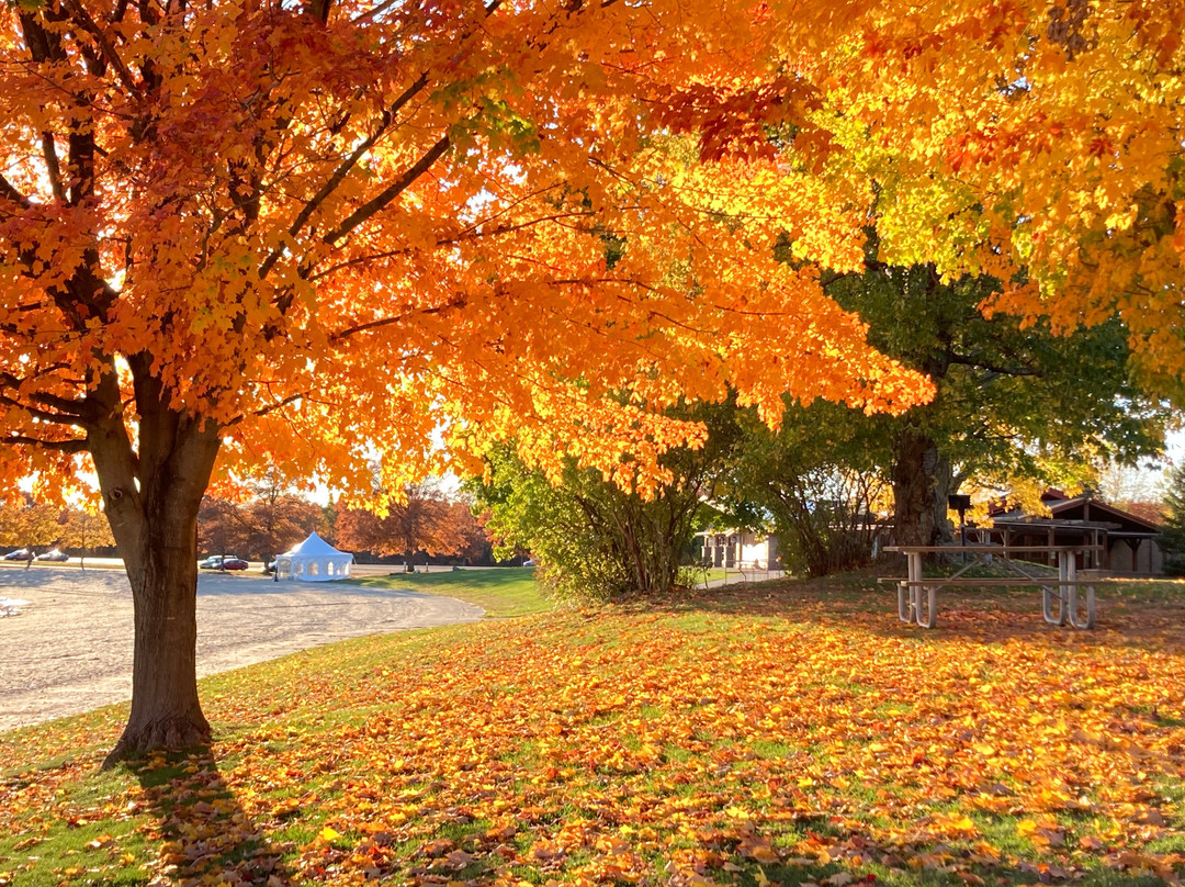 Lake Taghkanic State Park-Ancram必去景点