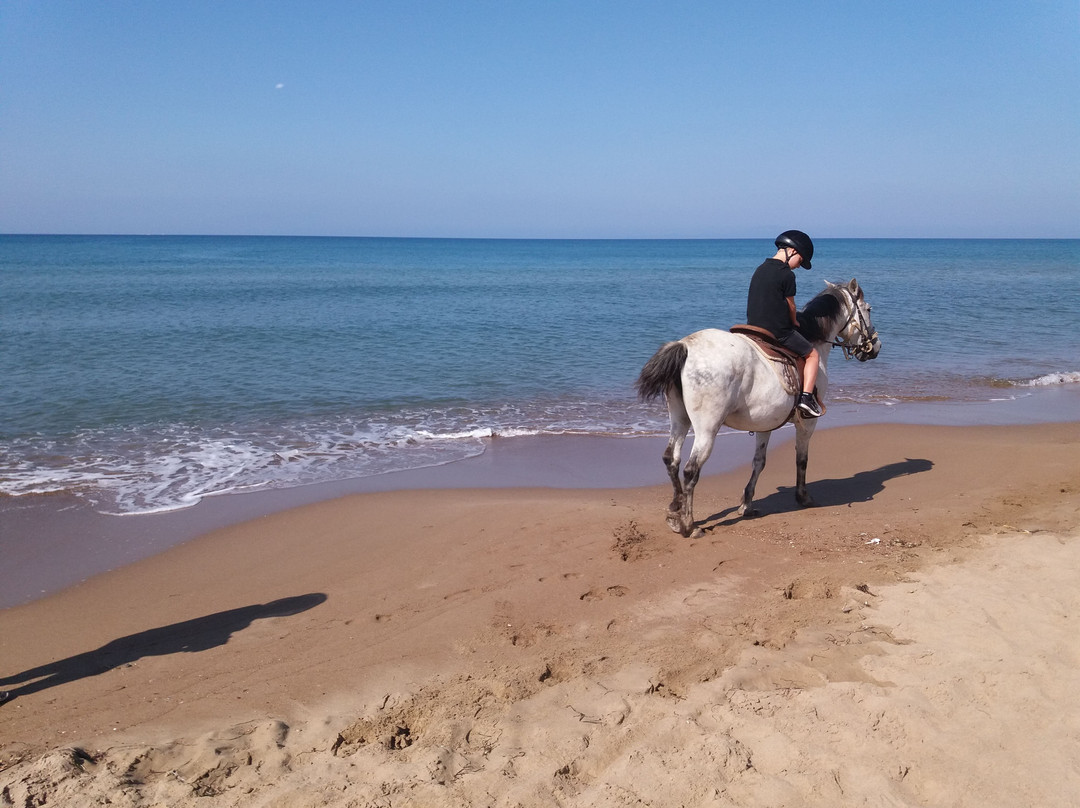 Jae Academy-Amaliada必去景点