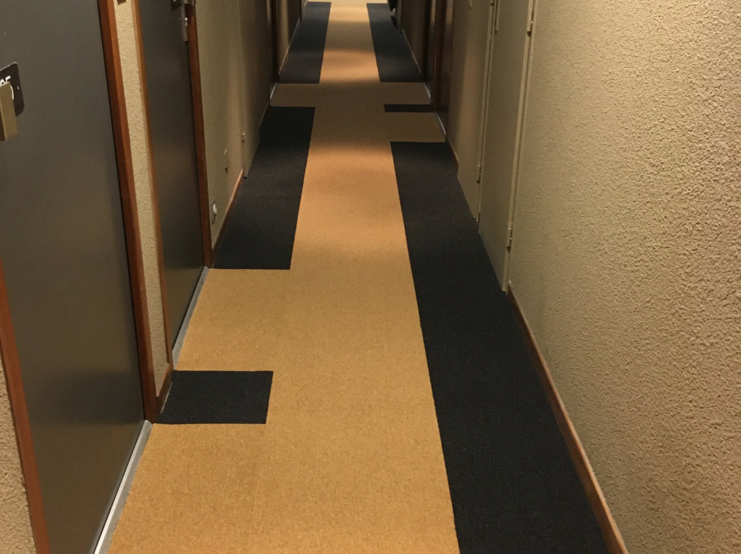 Hôtel Le Savoie主图