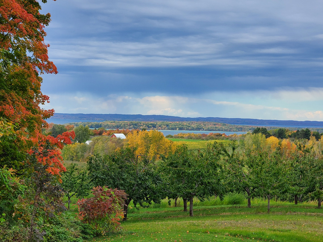 The Inn at Chateau Grand Traverse主图