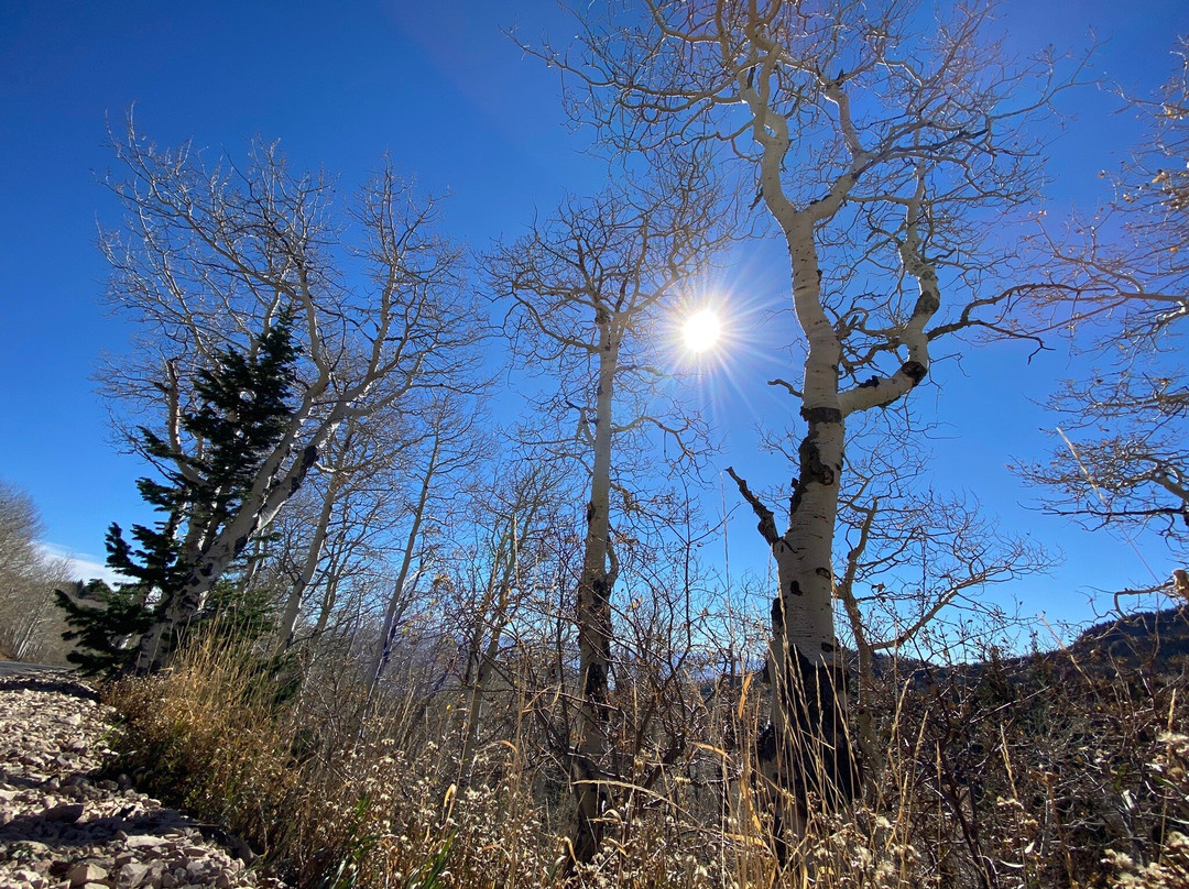 Guardsman Pass Scenic Backway-帕克城必去景点
