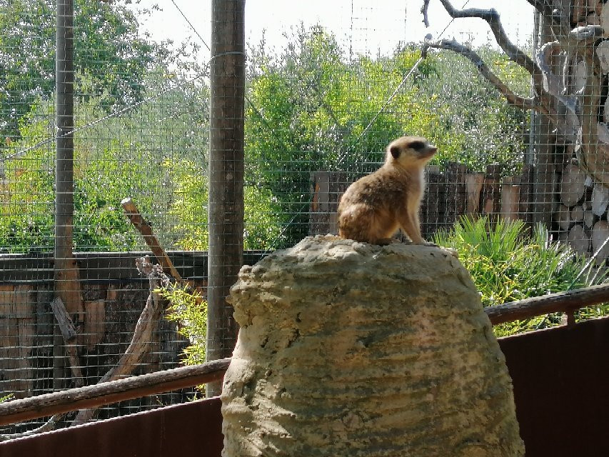 Zoo Delle Maitine景点图片