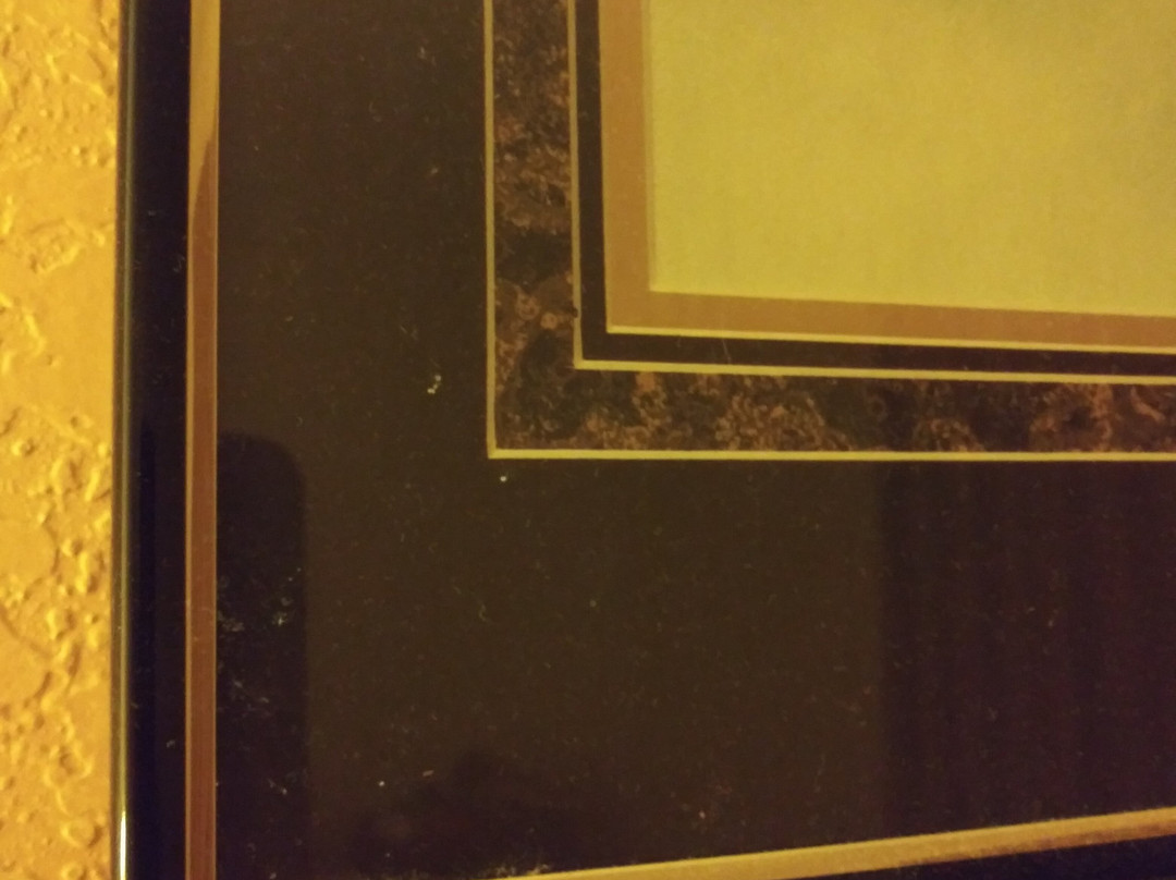 St Augustine Island Inn主图