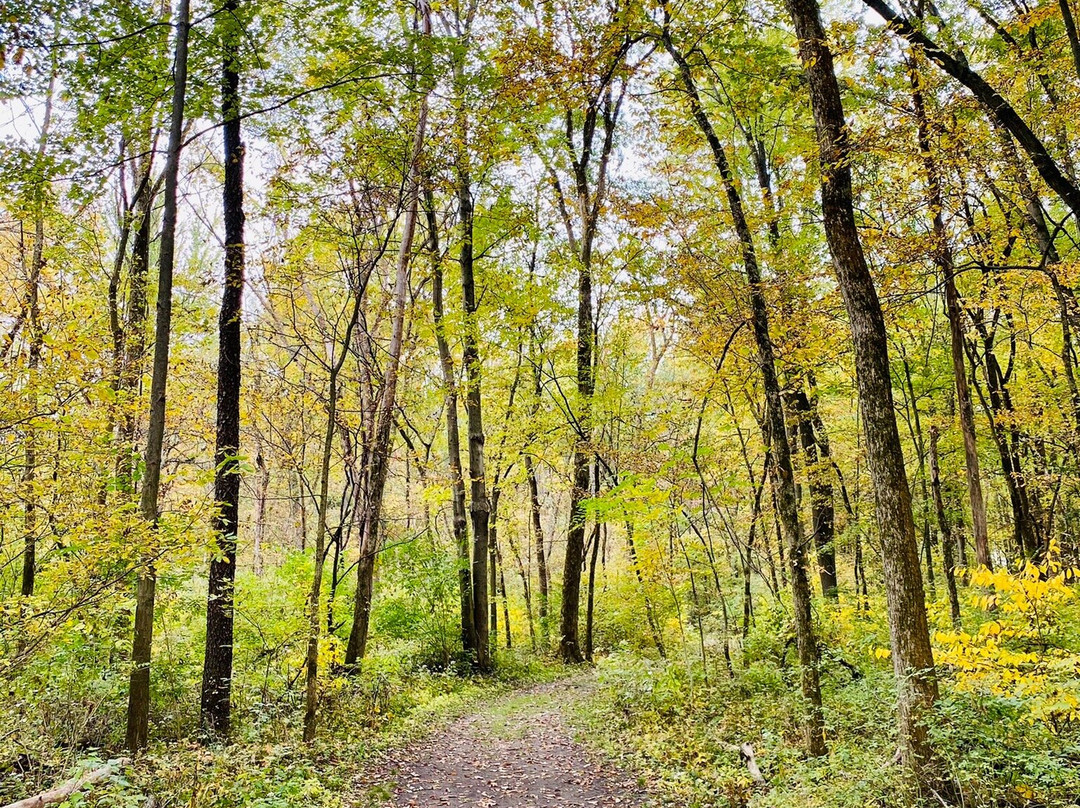 Fox Island County Park景点图片