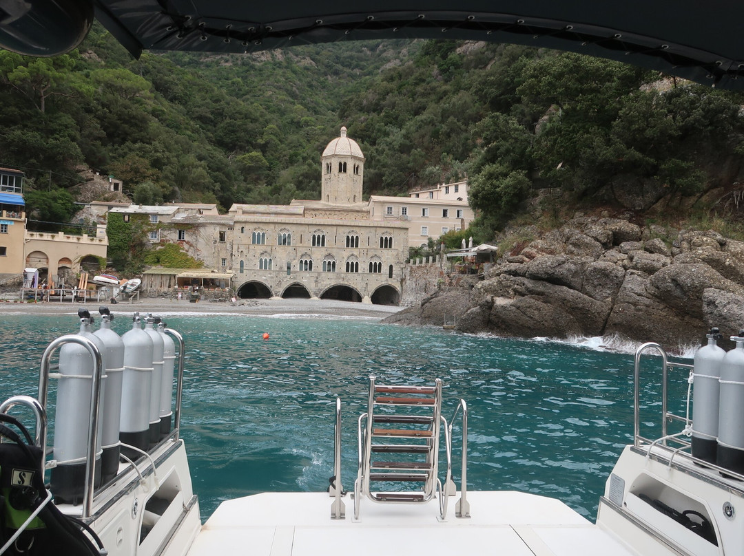 Parco di Portofino-波托菲诺必去景点