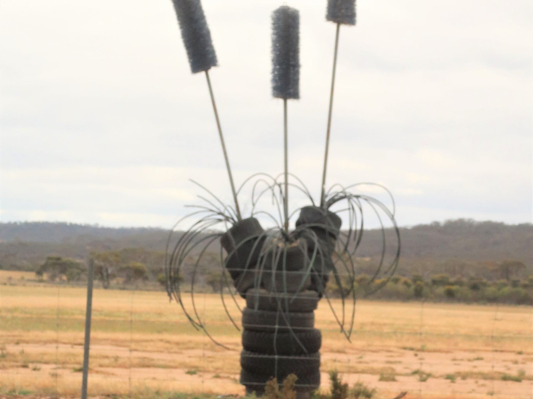 Ravensthorpe Farm Gate Art Trail-Ravensthorpe必去景点