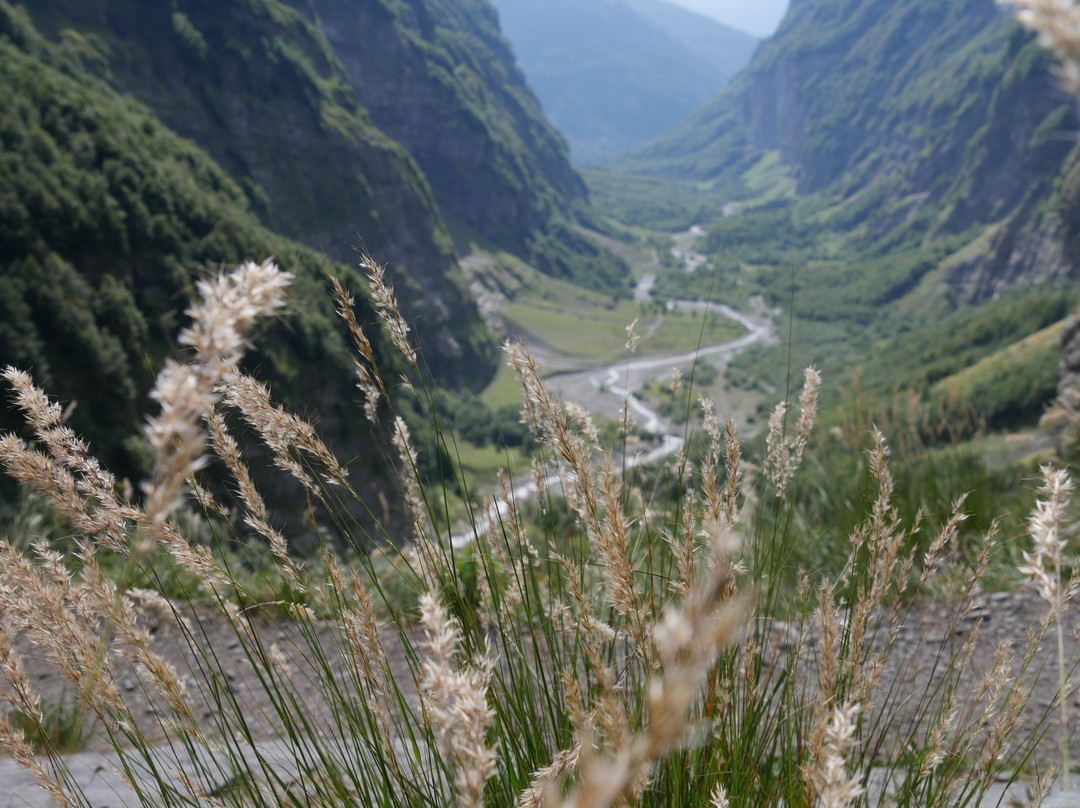 Reserve Naturelle景点图片