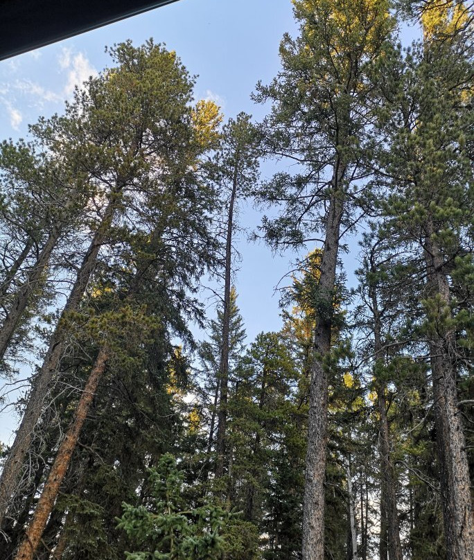 The Resort at Cypress Hills主图