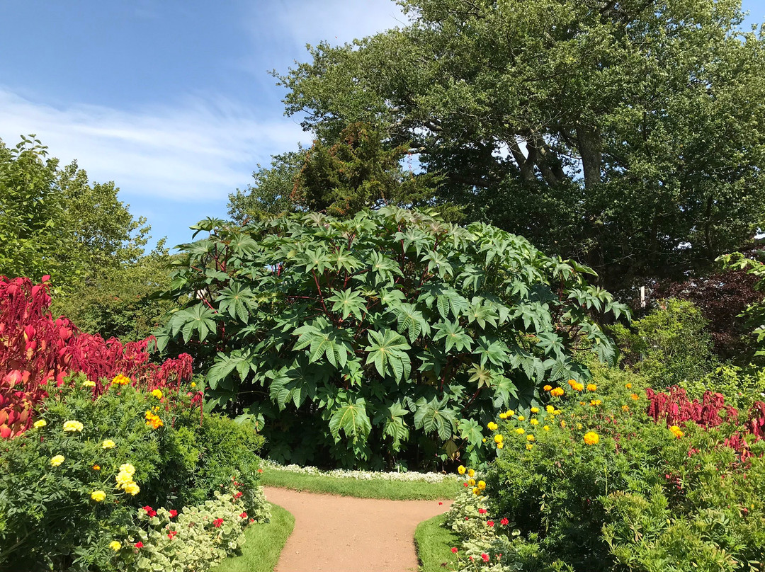 Annapolis Royal Historic Gardens景点图片