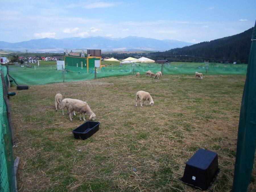 FUN PARK Ziarce-Pavcina Lehota必去景点
