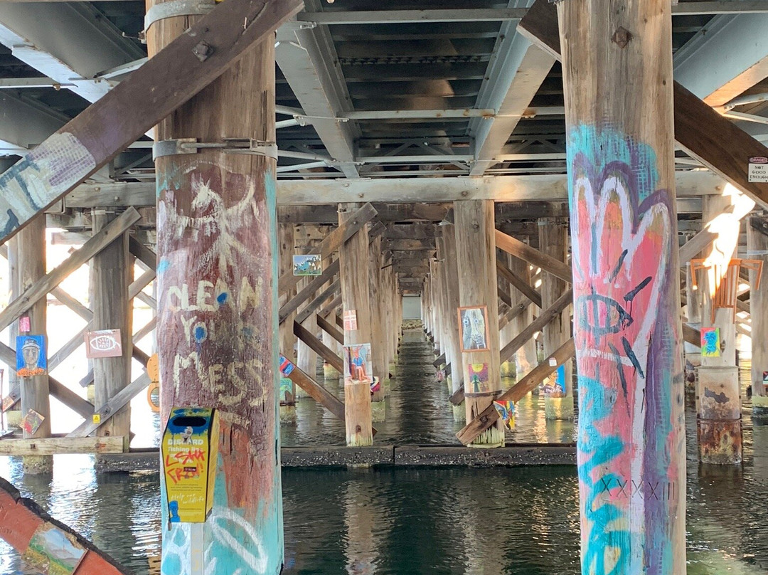 Canning Bridge景点图片