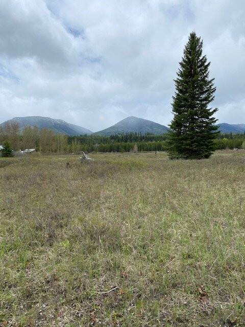 Transboundry Flathead River Interactive Trail-Polebridge必去景点