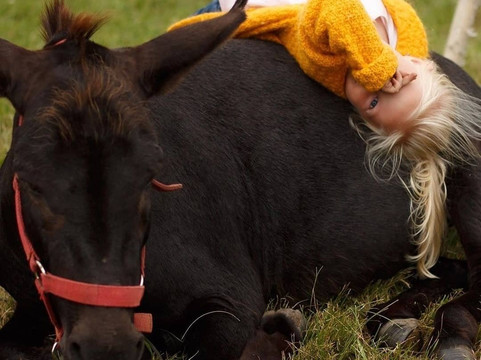 Olenevo-Agro-Pustyn必去景点