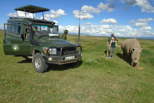 Natural World Kenya Safaris - Malindi-马林地必去景点