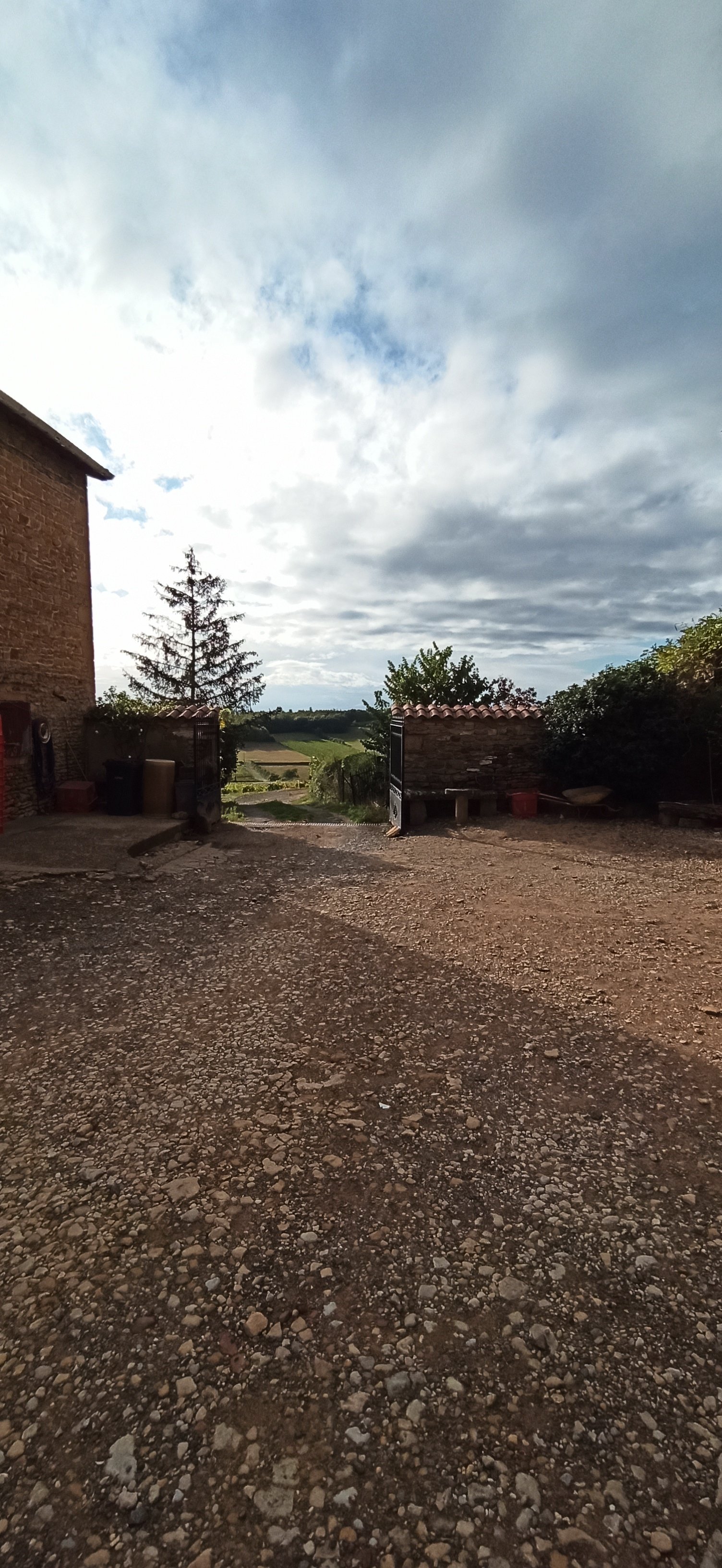 Domaine des Aloets-泳池
