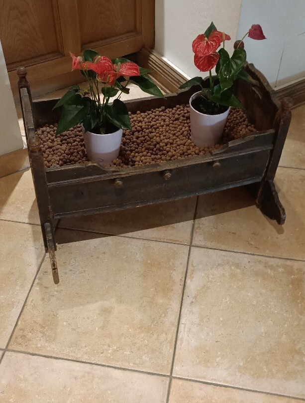 Vergeiner's Hotel Traube主图