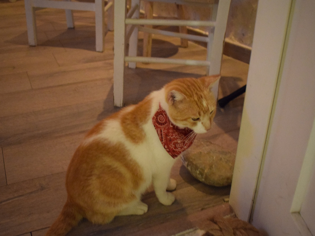 Choraki-Kythira必去景点