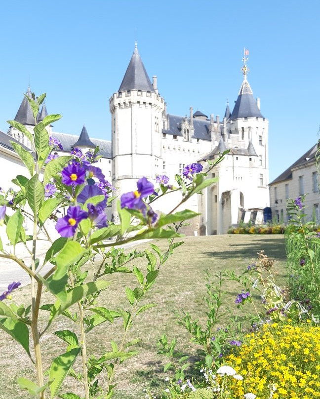 Le Clos de La Pinsonnière主图