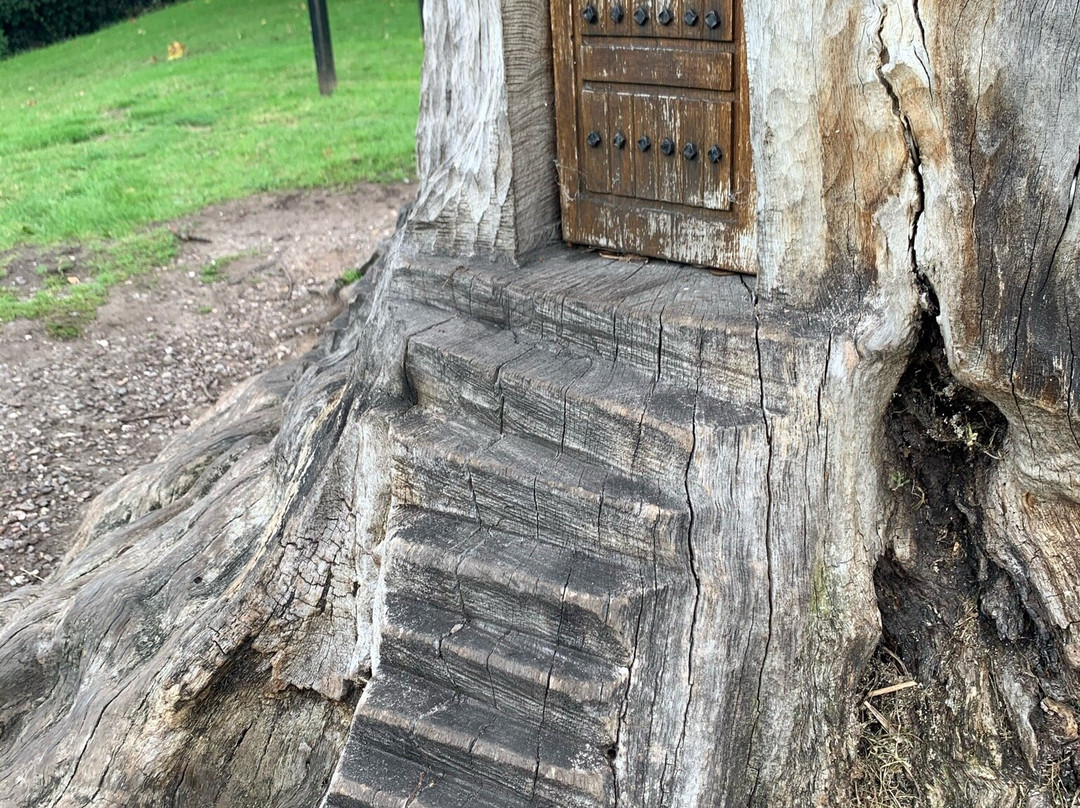 Tree of Imagination-Lower Peover必去景点