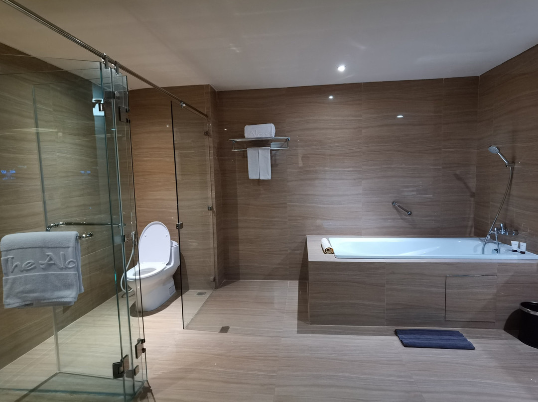 The Alana Hotel & Convention Center - Solo主图