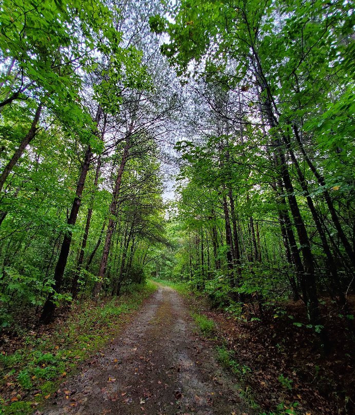 Chestnut Ridge Heritage Preserve景点图片