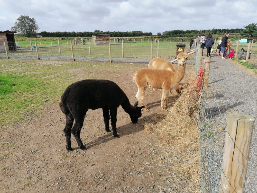 Apple Cast Farm-Newburgh必去景点