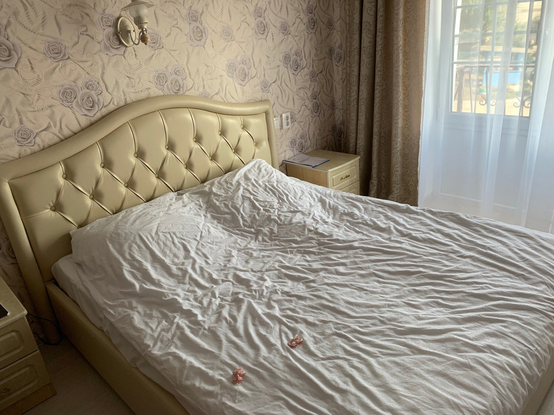 Hotel Sovetskaya 49主图