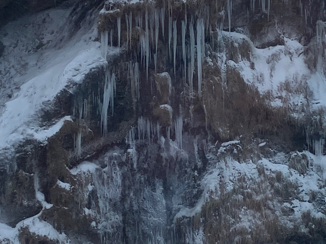 Hotel Vik i Myrdal主图