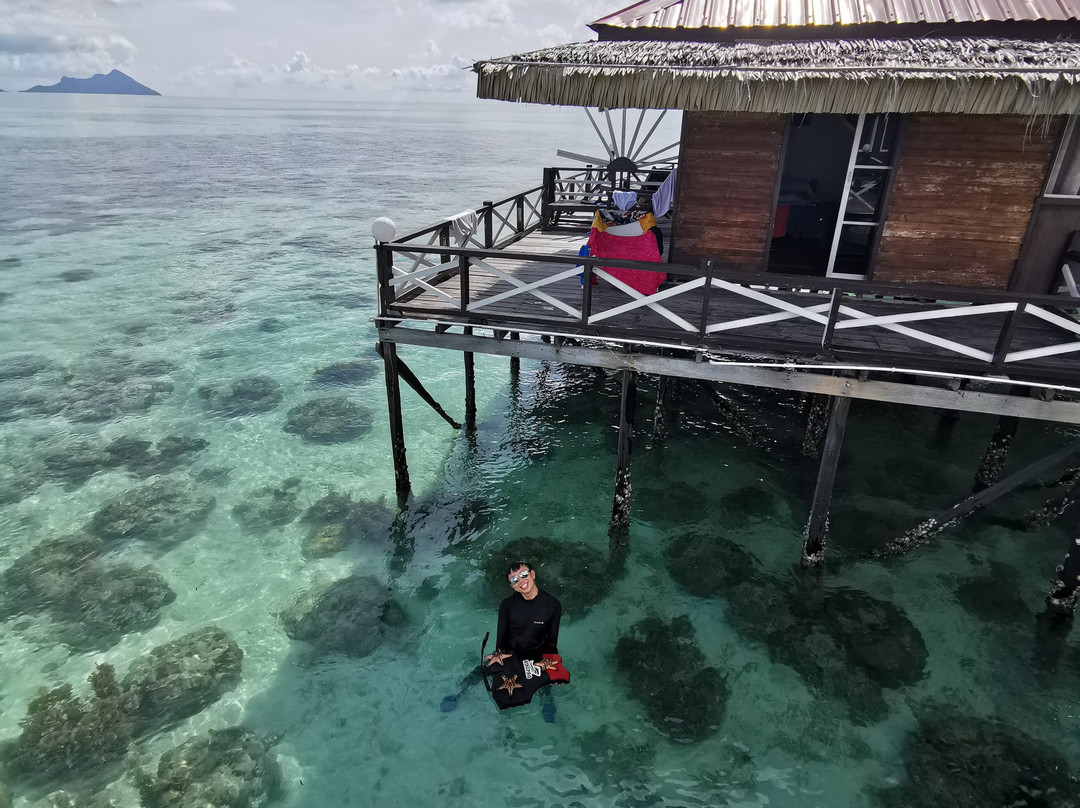 拉多拉多度假村主图