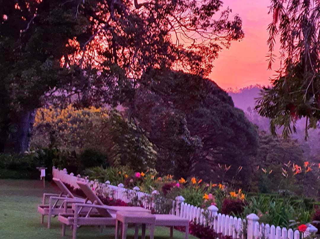 斯塔福德别墅酒店主图