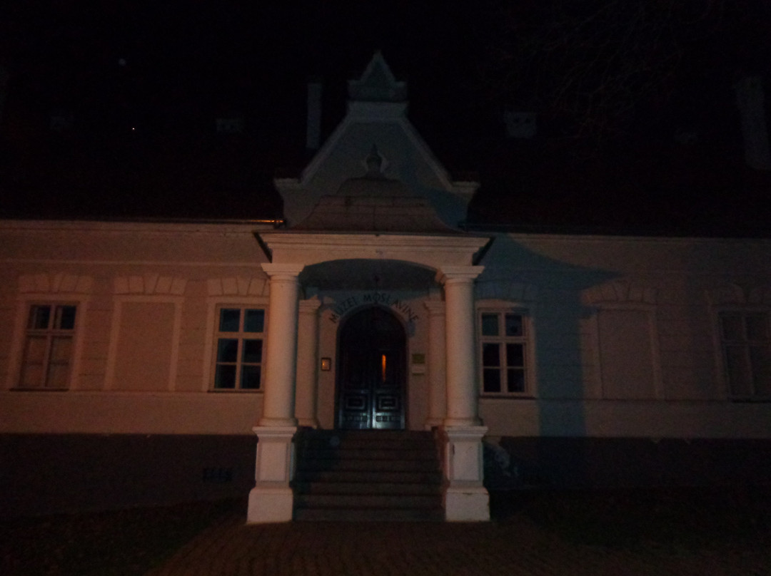 Moslavina Museum and Gallery景点图片