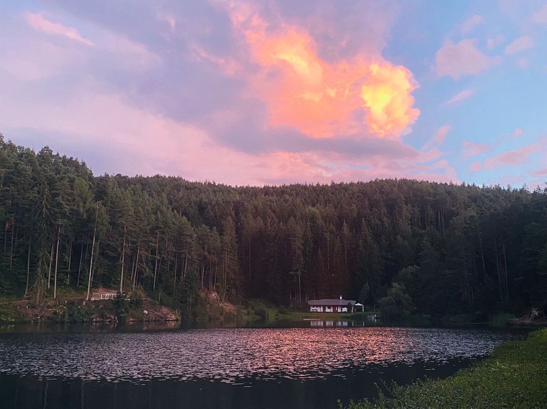 Hotel Am Wolfsgrubenersee主图