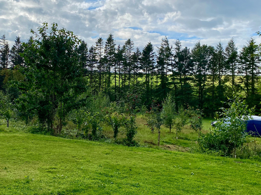 Manor Park Caravan Park