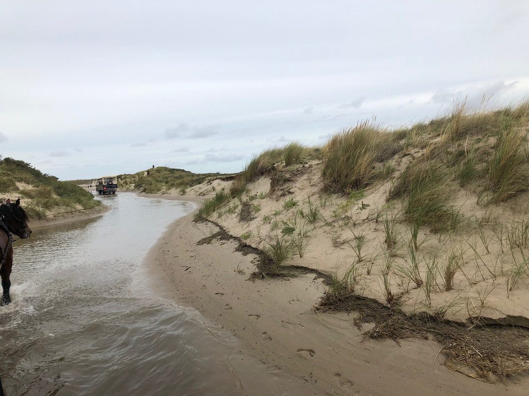 Jan Plezier Huifkartochten Texel-De Waal必去景点