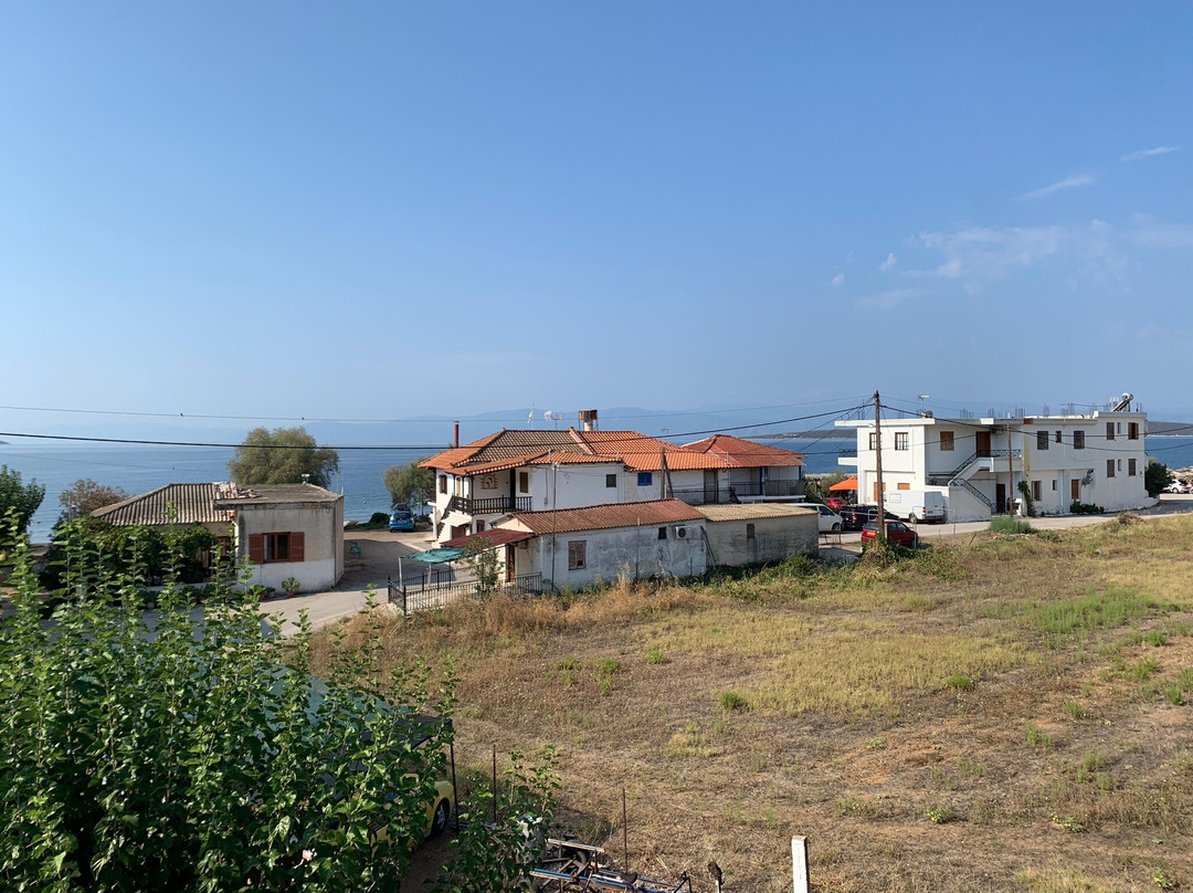 Sofia Apartments主图