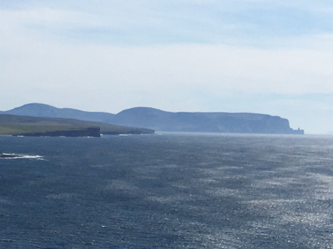 Marwick Head RSPB Nature Reserve-梅恩兰岛必去景点