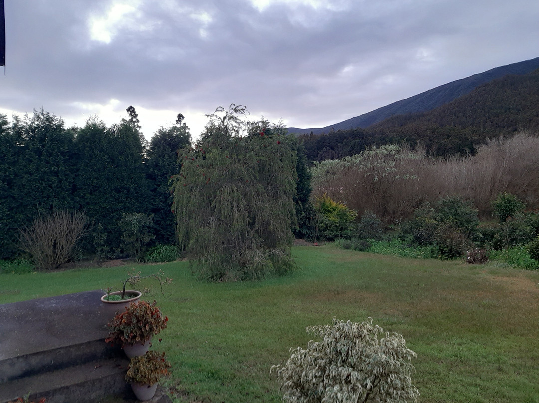 L'Arum des Prairies主图