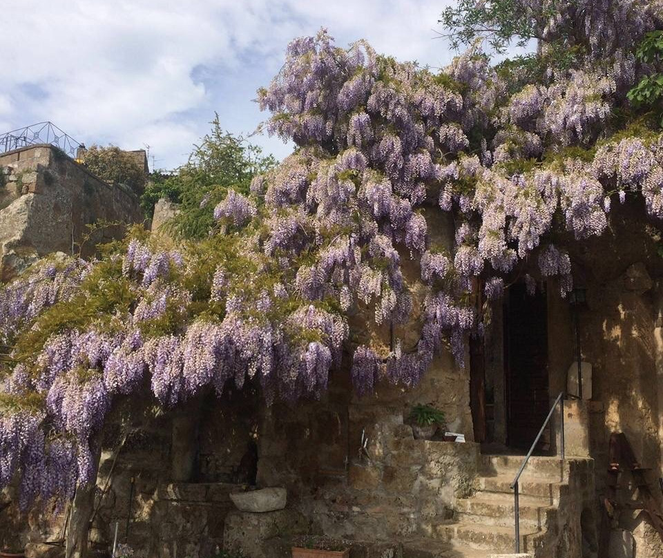 Giardino del Poeta景点图片